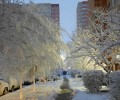 Снег на улицах Краснодара начали убирать с ночи