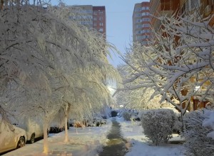 Снег на улицах Краснодара начали убирать с ночи