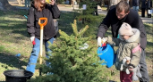 «Чтобы помнили»: родные погибших героев СВО высадили 100 деревьев в парке «Ривьера» Сочи