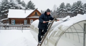 Соседи крутят пальцем у виска, когда видят это: зачем опытные дачники тащат снег в теплицу зимой — раскрыт главный секрет богатого урожая