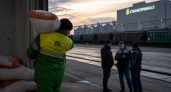 Краснодарский край экспортировал 8,3 млн т пшеницы за квартал — рост на 60%