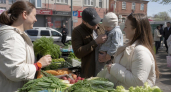 860 укусов клещей на Кубани: каждый шестой оказался заражён боррелиозом