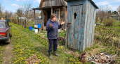 Зря грешила на заросший участок соседей: агроном раскрыл главную причину — вот почему одуванчики атакуют газон каждый год