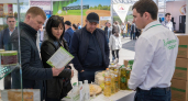 Кубань и Хэйлунцзян укрепляют партнёрство: 18 предприятий готовы к сотрудничеству