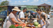 На дорогах Кубани этим летом откроются более 200 фермерских ярмарок