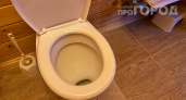 3 капли на ватный диск — унитаз заблестит, как в магазине: убираем налёт и запах за 40 минут