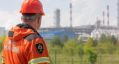 Минобороны сообщило о 342 сбитых дронах над Кубанью и Черным морем