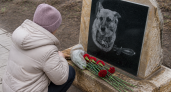 В Приморско-Ахтарске открыли памятник овчарке Елге, спасшей жизни десяти милиционеров