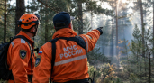 Под Геленджиком загорелся лес после падения обломков БПЛА у Джанхота
