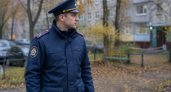 Бастрыкин затребовал доклад после нападения четырёх собак на ребёнка на Кубани