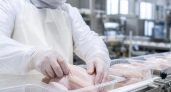 На Кубани компанию оштрафовали за попытку продажи просроченного мяса птицы