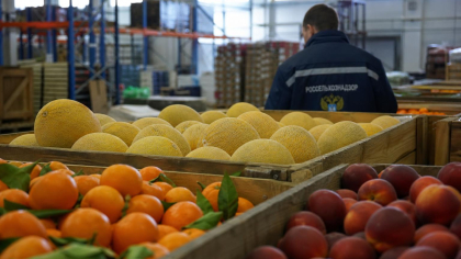 На рынок Краснодара за лето ввезли 2,5 тысячи тонн импортных фруктов